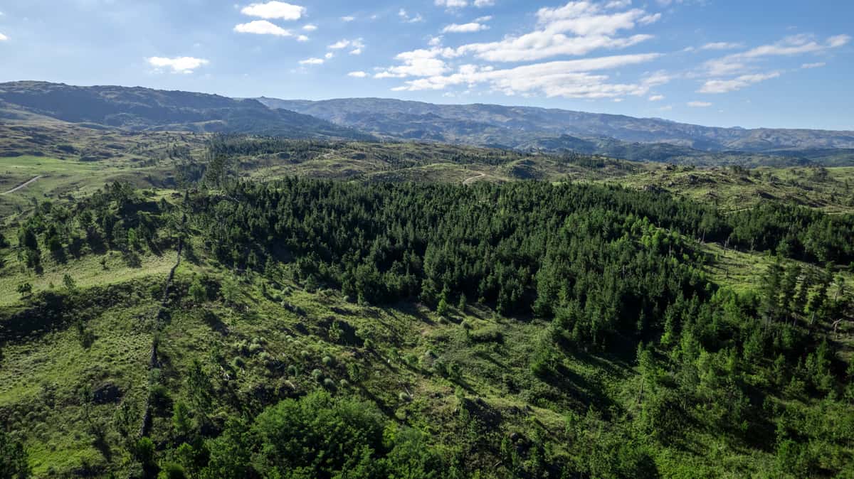 Lotes en Cascada del Durazno